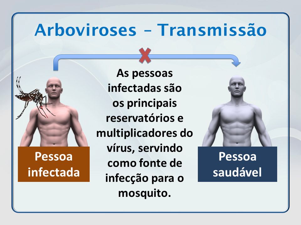 Número de municípios em alerta para surto de arboviroses aumenta no Piauí