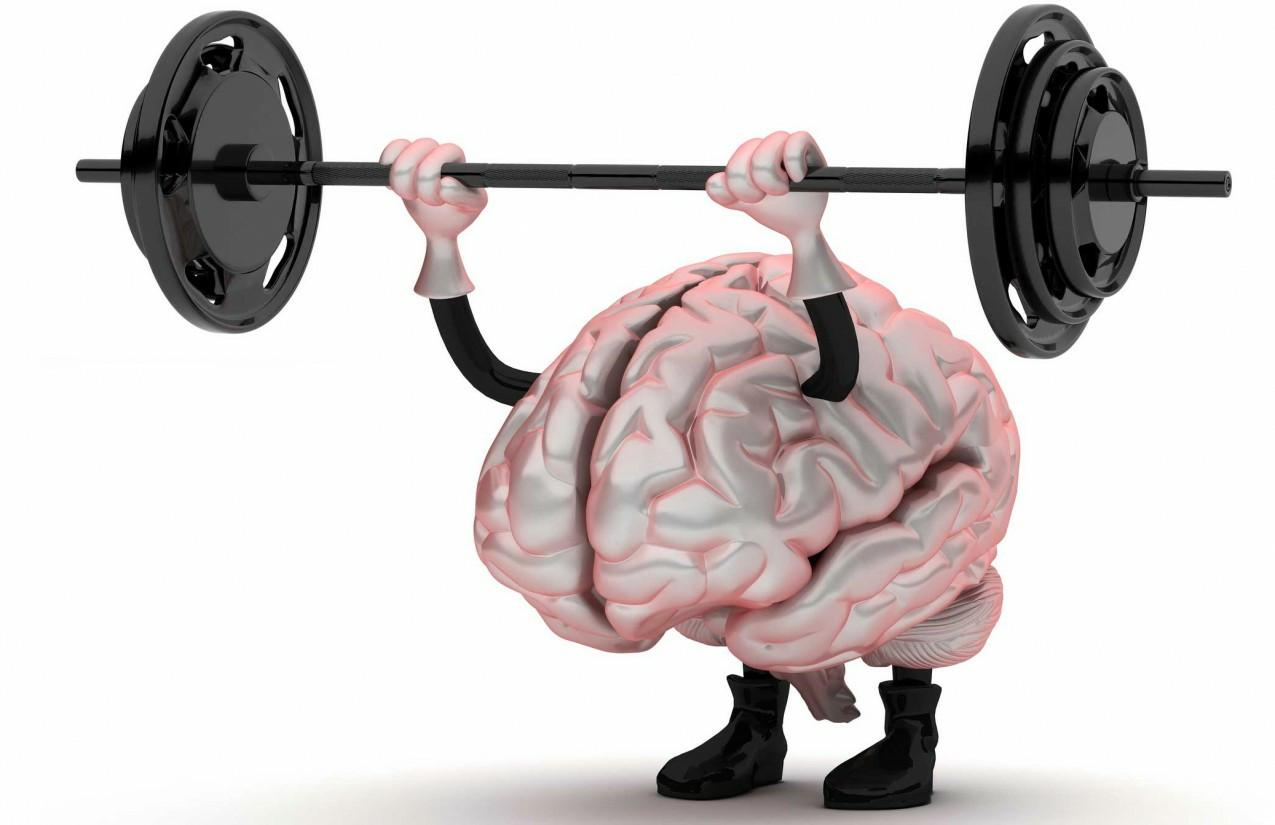 SUA SAÚDE: Memória Muscular, é Mito ou Verdade?