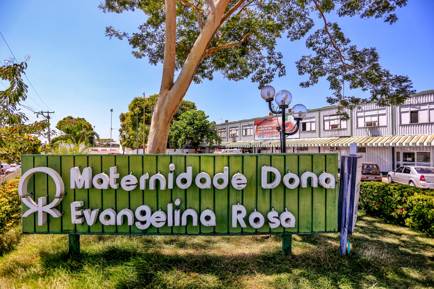 Maternidade Dona Evangelina Rosa completa 44 anos e é referência no Estado
