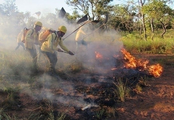 Piauí intensifica estratégias para prevenção e controle de incêndios florestais