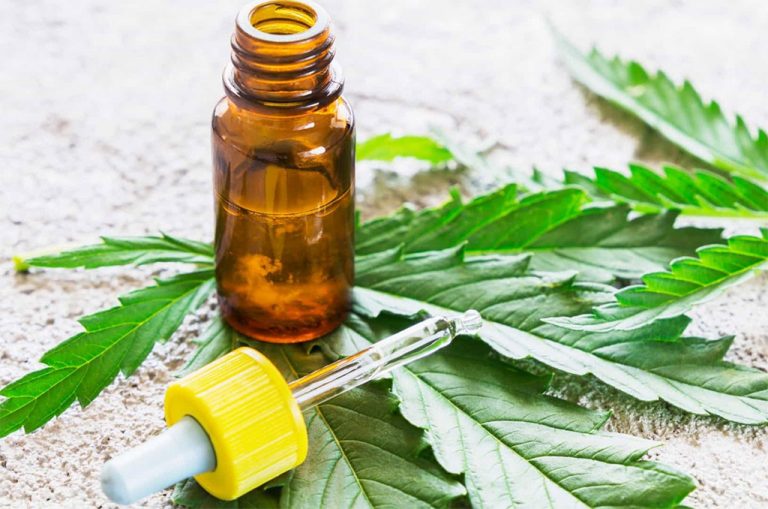 Pesquisadores brasileiros testam canabidiol em tratamento de viciados em crack