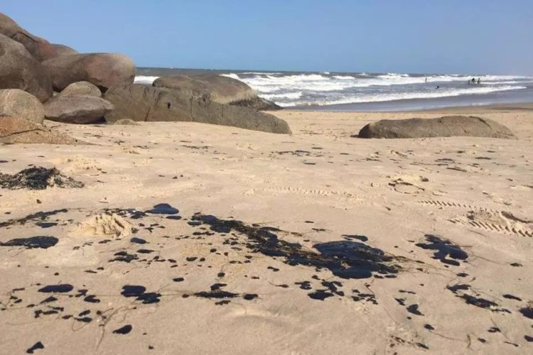 Surgem novas manchas de óleo no Delta do Parnaíba