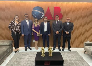 Conselho Seccional da OAB-PI aprova novos diretores da Escola Superior da Advocacia