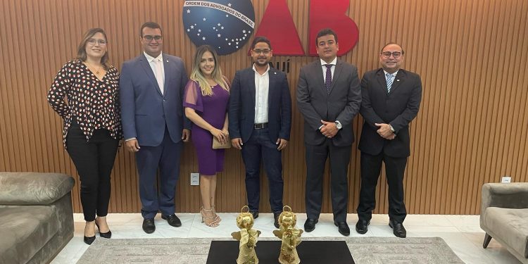 Conselho Seccional da OAB-PI aprova novos diretores da Escola Superior da Advocacia