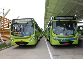 Aplicativo permite identificar trajetos e paradas de ônibus em Teresina