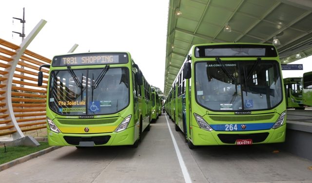 Aplicativo permite identificar trajetos e paradas de ônibus em Teresina