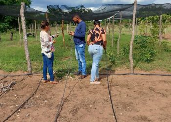Agricultura familiar do Piauí ganha impulso com kits irrigação para os municípios