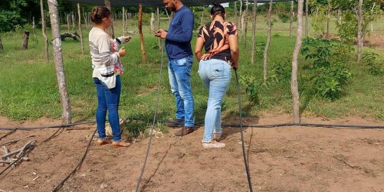 Agricultura familiar do Piauí ganha impulso com kits irrigação para os municípios