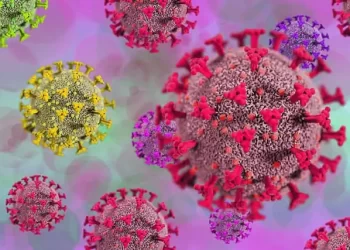 Ômicron faz sua primeira vítima com óbito no Brasil