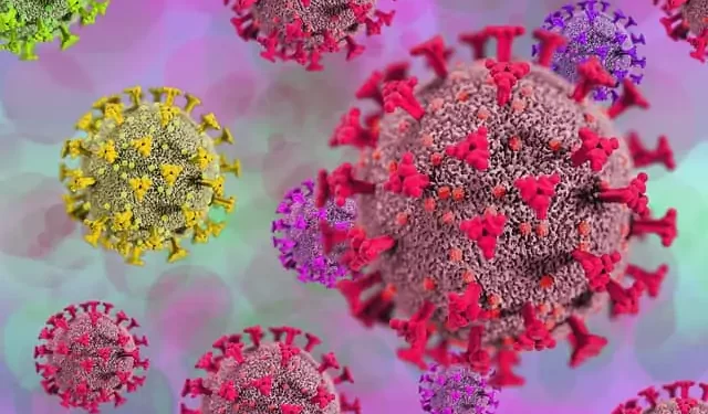 Ômicron faz sua primeira vítima com óbito no Brasil