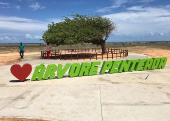 Prefeitura inaugura revitalização do entorno da Árvore Penteada em Luís Correia