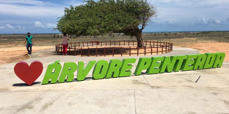 Prefeitura inaugura revitalização do entorno da Árvore Penteada em Luís Correia