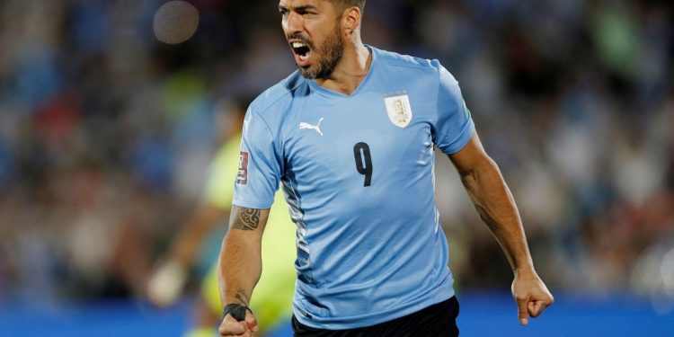 GUIA DA COPA 2022: 5 seleções sul-americanas ainda lutam por vaga no mundial