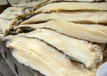 Afinal, o que é bacalhau? Fomos até a Noruega descobrir