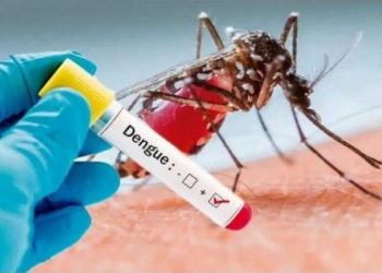 Cresce número de casos de Dengue em todo Piauí