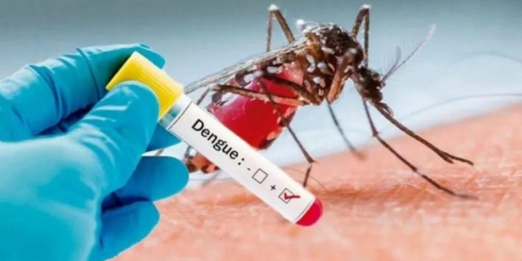Cresce número de casos de Dengue em todo Piauí