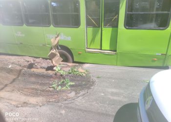 DESCASO DA PREFEITURA DE TERESINA: Ônibus fica atolado em buraco na Avenida Henry Wall de Carvalho