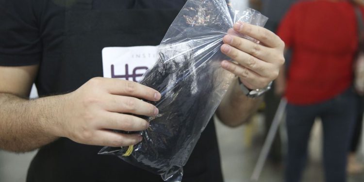 Projeto cria campanha para doação de cabelo a pessoas com câncer