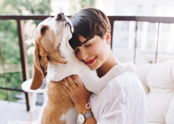 UniFacid promove evento com foco no bem-estar dos pets