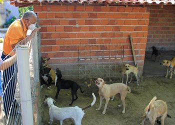 Dr. Pessoa apaga post após dar dicas de como soltar foguetes, que é crime estadual