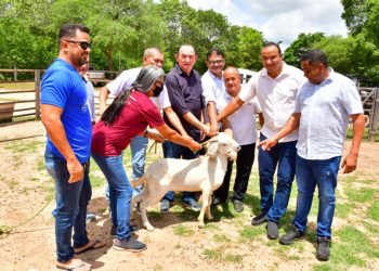 Prefeitura de Floriano doa reprodutores caprinos a produtores rurais da Princesa do Sul