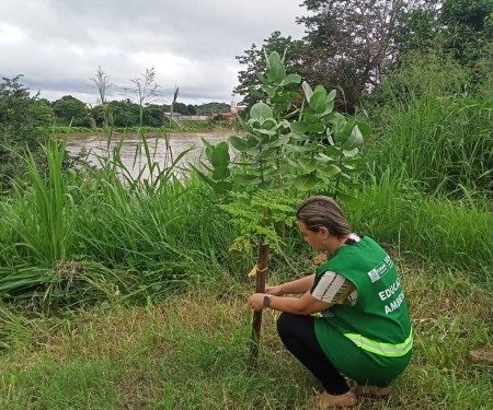 Prefeitura de Floriano através da SEMAN promove ação de monitoramento de plantios realizados às margens do rio Parnaíba
