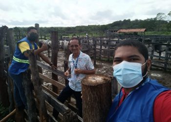 Prefeitura intensifica fiscalizações de produtos de origem animal em Floriano
