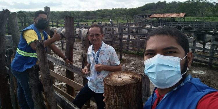 Prefeitura intensifica fiscalizações de produtos de origem animal em Floriano
