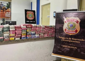 Polícia Federal prende homem que transportava 108 kg de cocaína em Teresina