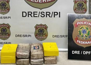 Polícia  Federal prende homem que transportava cocaína na zona sul de Teresina