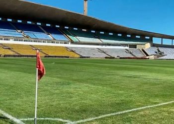 Albertão vai ganhar novo gramado após Piauí Pop e pode receber jogo da Seleção Brasileira