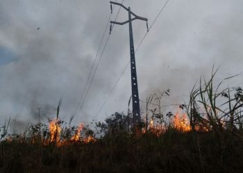 Número de ocorrências provocadas por queimadas em 2023 já deixou milhares de famílias sem energia elétrica