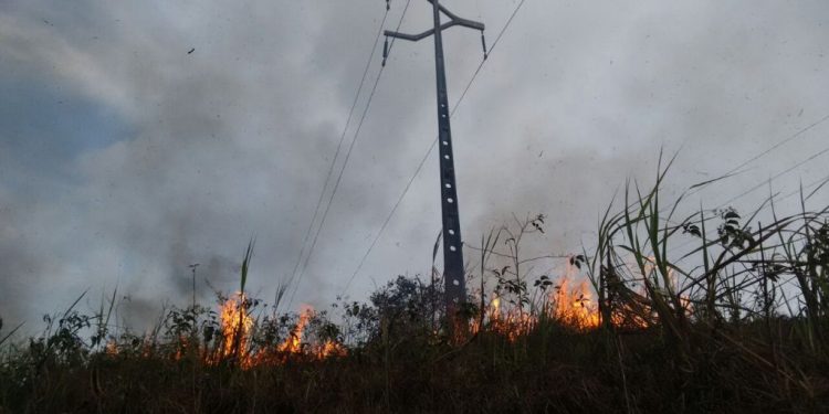 Número de ocorrências provocadas por queimadas em 2023 já deixou milhares de famílias sem energia elétrica