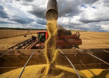Piauí supera US$ 1 bilhão em exportações no acumulado em 2023