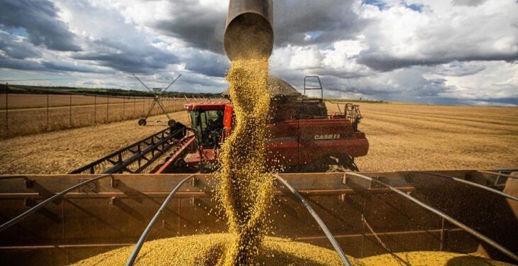 Piauí supera US$ 1 bilhão em exportações no acumulado em 2023
