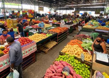 Cresce a comercialização de frutas na Nova Ceasa devido às altas temperaturas