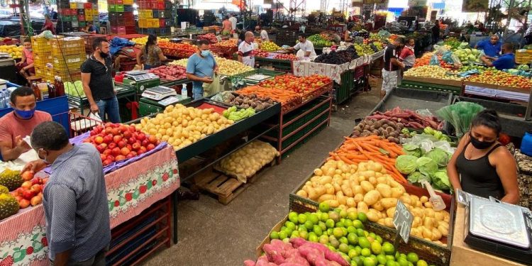 Cresce a comercialização de frutas na Nova Ceasa devido às altas temperaturas