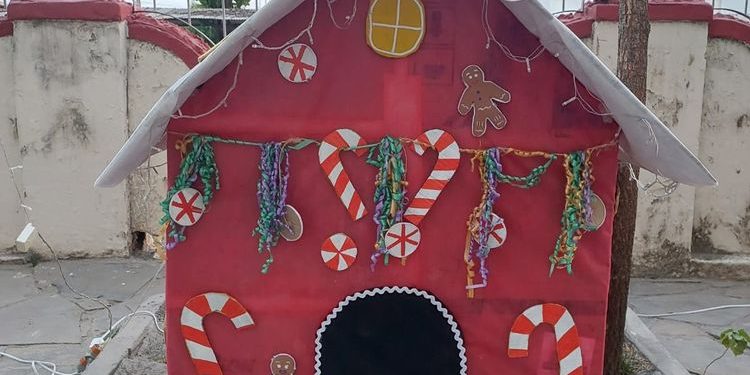 Estudantes usam material reciclado em decoração natalina de escola em Piracuruca