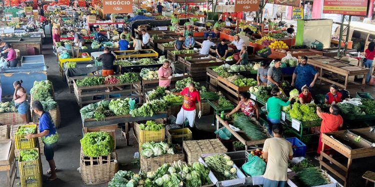 Nova Ceasa informa funcionamento do mercado neste fim de ano