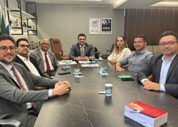 OAB-PI realiza encontro para planejamento de atividades festivas e sociais em 2024