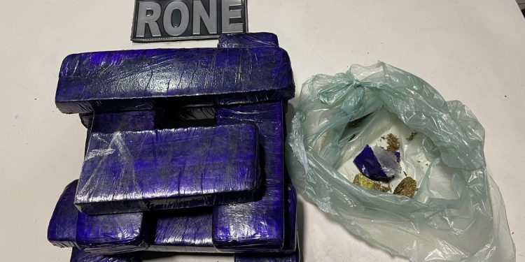 Polícia Militar apreende grande quantidade de drogas no bairro Angelim, na zona Sul de Teresina