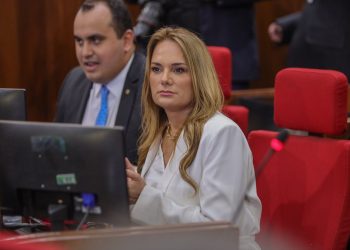 Deputada Estadual Ana Paula(MDB) cobra ações da Equatorial em diversas regiões de Teresina