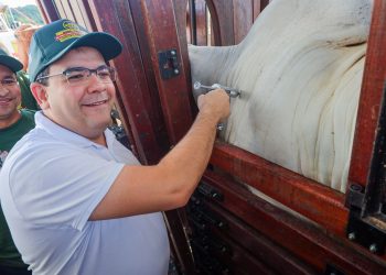 AFTOSA: prazo para vacinar encerra dia 30 de abril e não será prorrogado