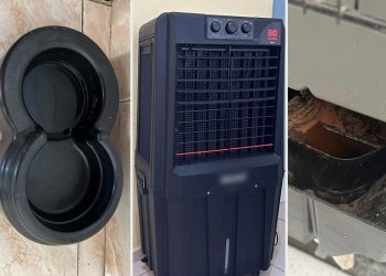 ALERTA: veja 10 locais que podem ser criadouro de mosquito da dengue em uma casa