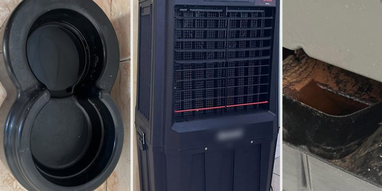 ALERTA: veja 10 locais que podem ser criadouro de mosquito da dengue em uma casa