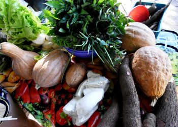 Em Teresina, delegações do G20 visitarão horta comunitária e Quitanda da Agricultura Familiar nesta sexta (24)