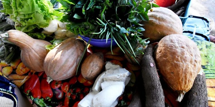 Em Teresina, delegações do G20 visitarão horta comunitária e Quitanda da Agricultura Familiar nesta sexta (24)