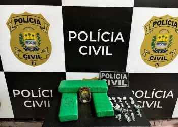 Polícia Civil já realizou apreensão de mais de 10 mil quilos de drogas em 2024