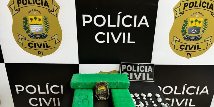 Polícia Civil já realizou apreensão de mais de 10 mil quilos de drogas em 2024