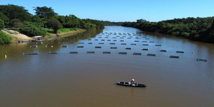 Piauí: Codevasf investe R$ 11,2 milhões em ações de apoio à produção local no 1º semestre